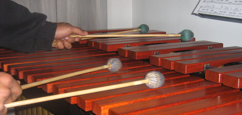 Profesores de Bellas Artes denuncian que aerolínea extravió una marimba