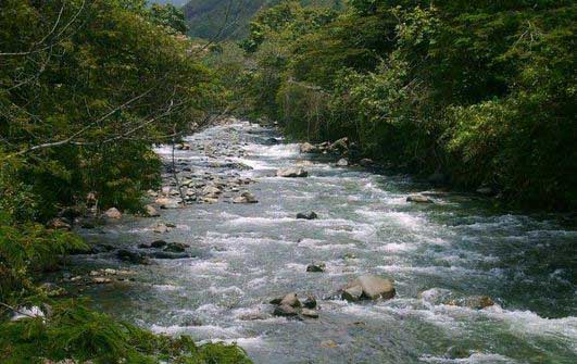 Comunidad denuncia contaminación por aguas negras en el río Pance