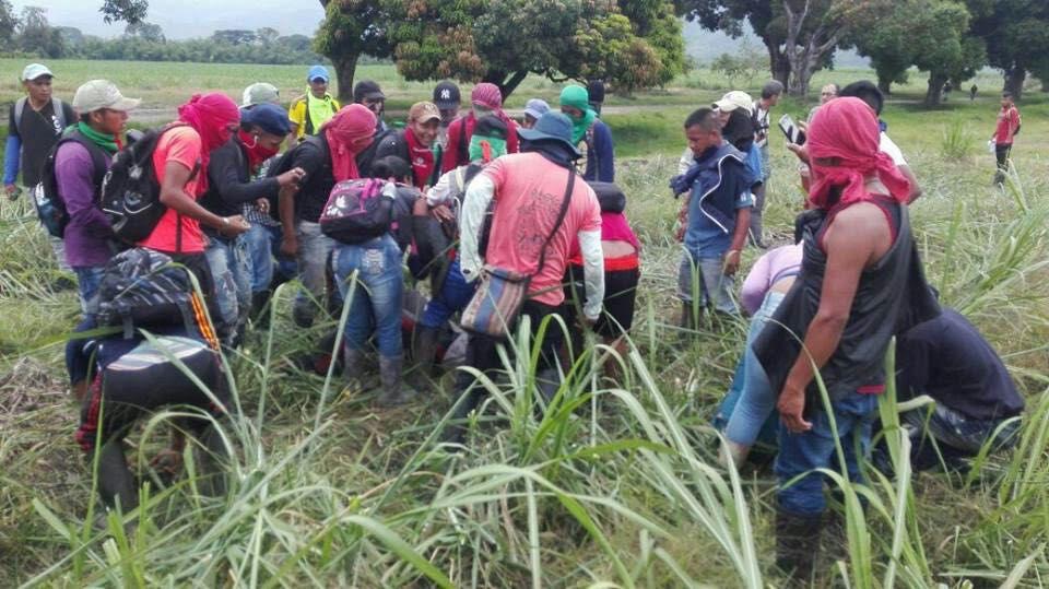 Un indígena muerto y tres heridos dejan enfrentamientos en Corinto, Cauca