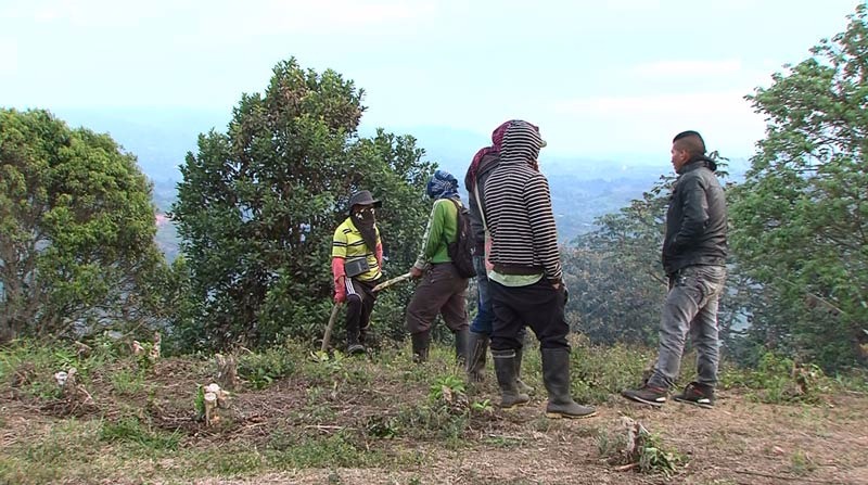 Indígenas Nasa continúan con la toma de una finca en Caldono, Cauca