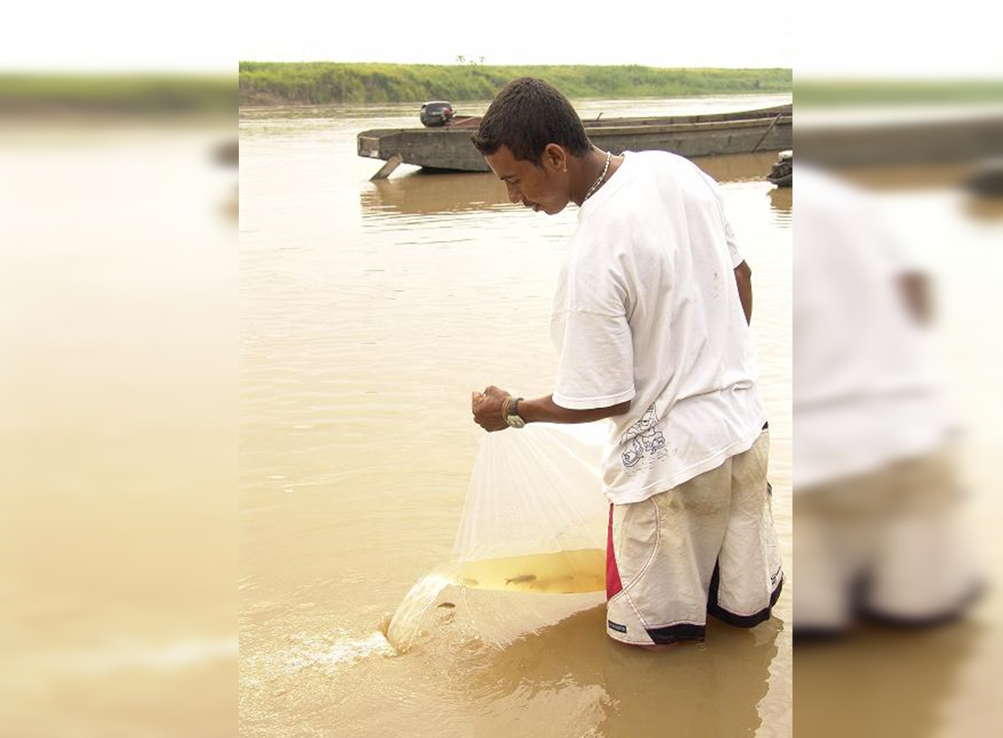 Travesía Naútica por el Cauca: con semillas y peces revitalizarán este afluente