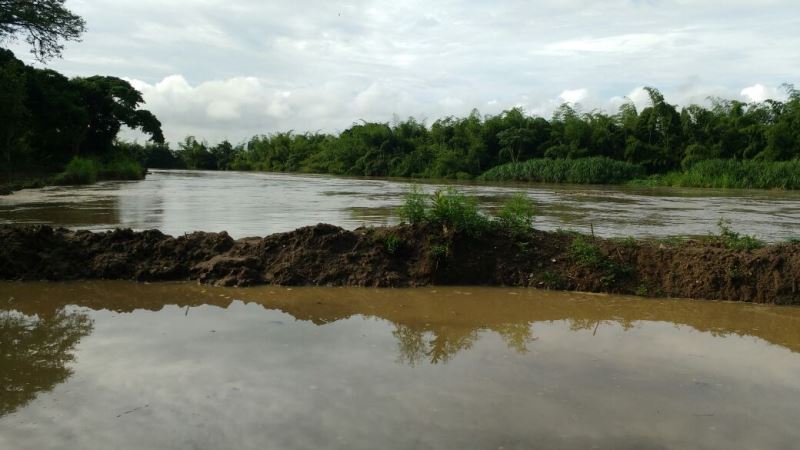 Hombres que fueron arrojados al río Cauca fueron identificados
