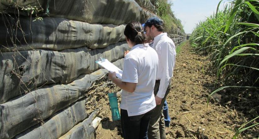 Familias que se negaron a ser reasentadas por el Plan Jarillón de Cali no recibirían vivienda