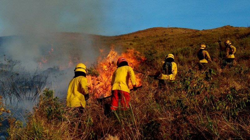 Ante fuertes temperaturas en Cali, autoridades trabajan en prevención de incendios forestales