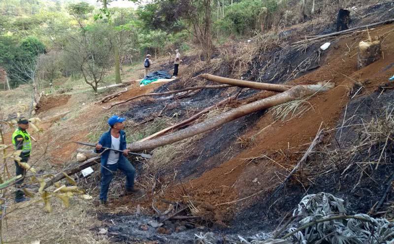 Autoridades retiran a 1.580 personas en zonas protegidas de Cali
