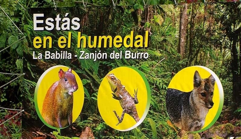 Ordenan no intervenir Zanjón del Burro hasta que demuestren impacto ambiental