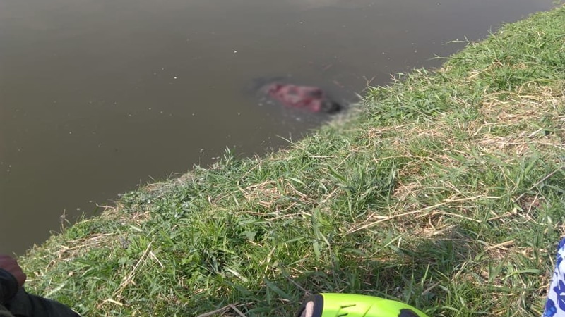 Encontraron cuerpo de un hombre en el barrio Charco Azul de Cali