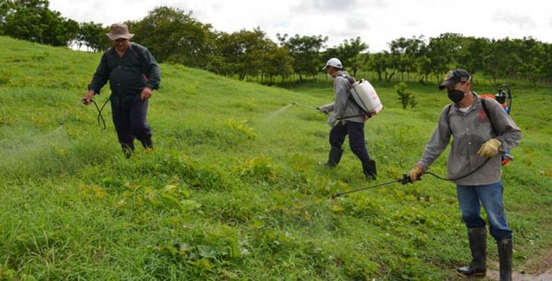 Realizan pedagogía con agricultores del Valle para el buen uso de plaguicidas
