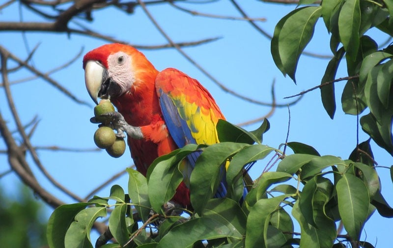 Parque Ecológico Providencia se suma a la conservación ambiental del Valle