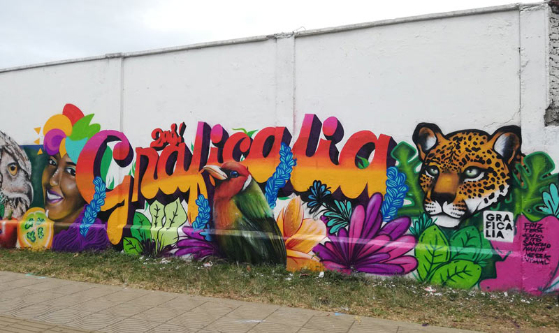 Barrio Petecuy II se convirtió en lienzo abierto para concursantes de Graficalia