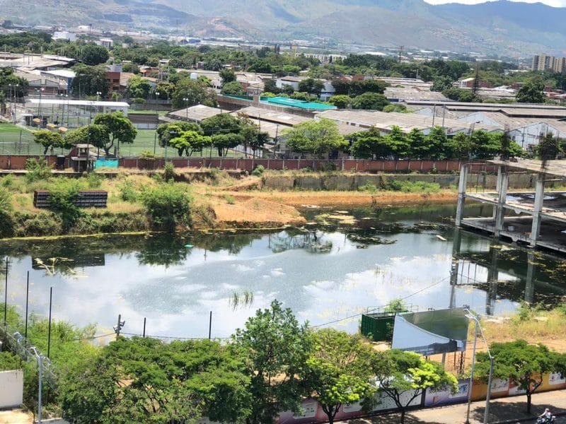 Siembra de peces Guppy mitigará aumento de zancudos por agua estancada en obra