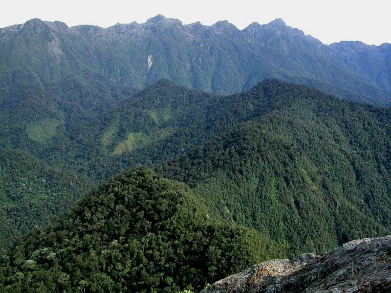Parques Nacionales rechaza supuestas amenazas de campesinos en Farallones de Cali