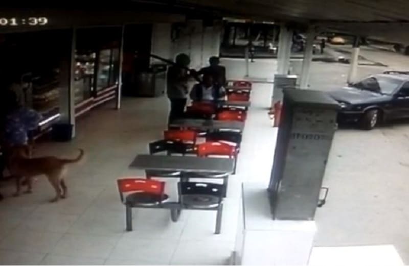 Hombres hurtaron con bate y cuchillo a una persona en panadería de Palmira, Valle