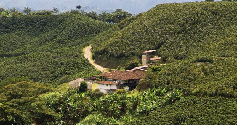 Sevilla, epicentro de foro de departamentos que integran Paisaje Cultural Cafetero
