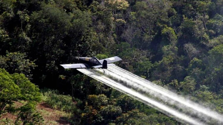 Nación deberá pagar 0 millones a agricultor afectado por glifosato
