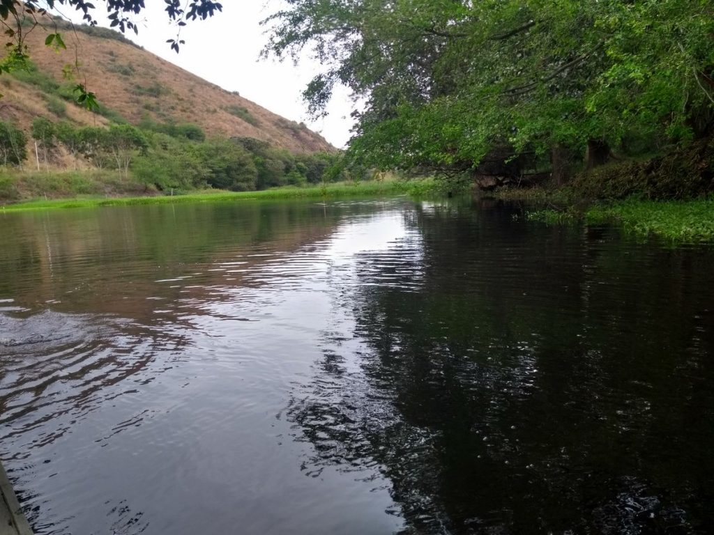 Autoridades ambientales adelantan labores para actualizar mapa de red hídrica en Cali
