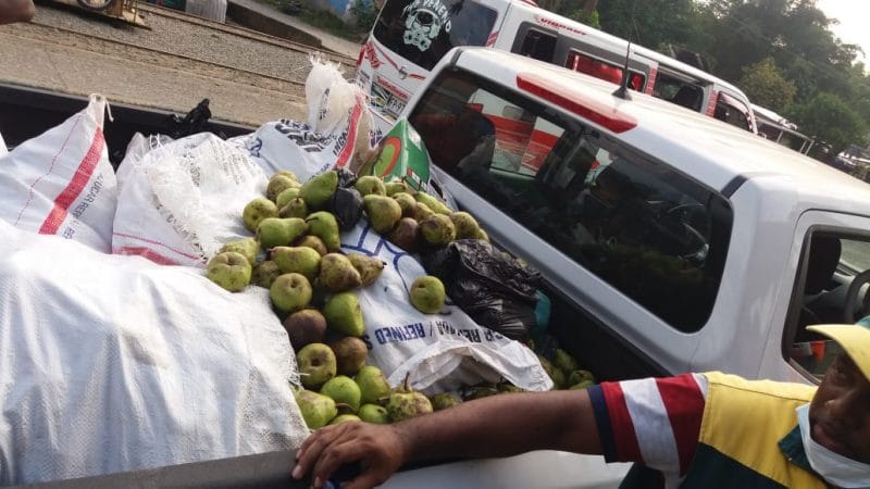 Alerta por peras en mal estado que fueron desenterradas y comercializadas en Buenaventura
