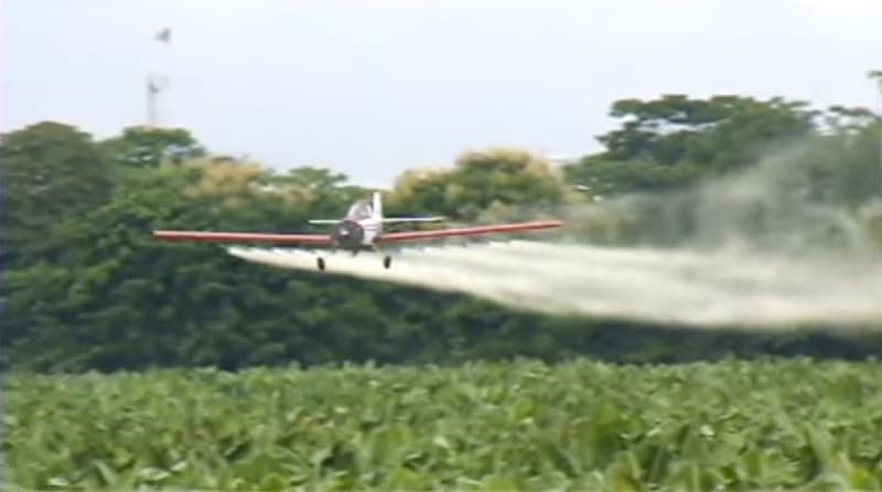 Se hunde proyecto que buscaba prohibir el uso de glifosato en Colombia