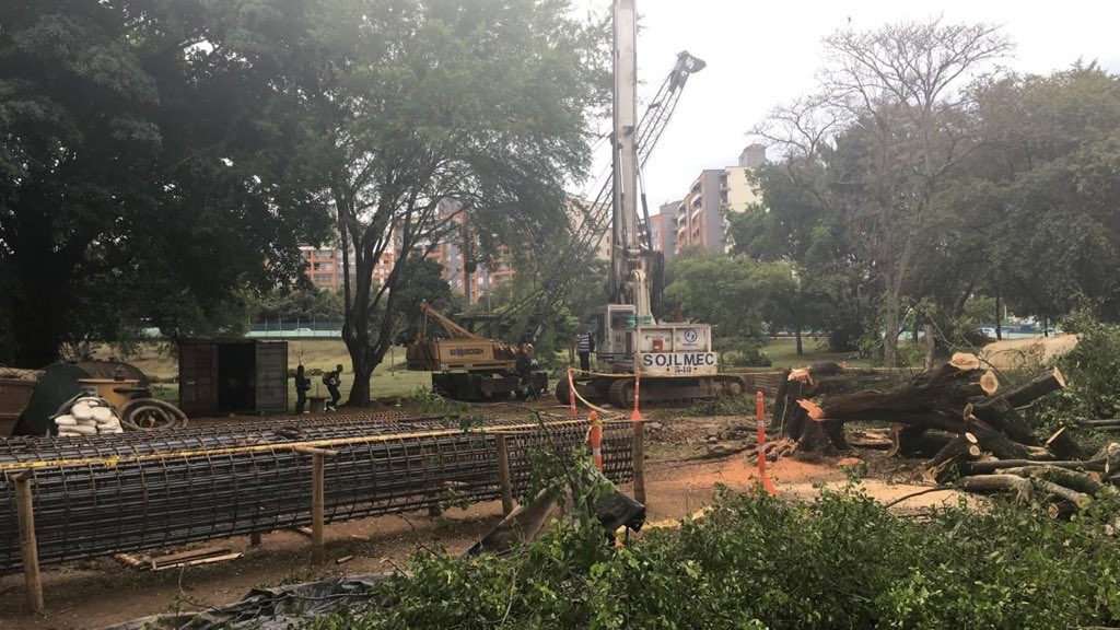 Autoridades ambientales dicen que se sembrarán 3.170 árboles por obras del sur de Cali