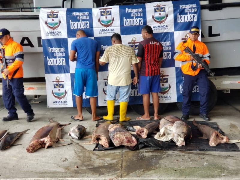 Envían a la cárcel a tres hombres que fueron 'pillados' pescando en Santuario Malpelo