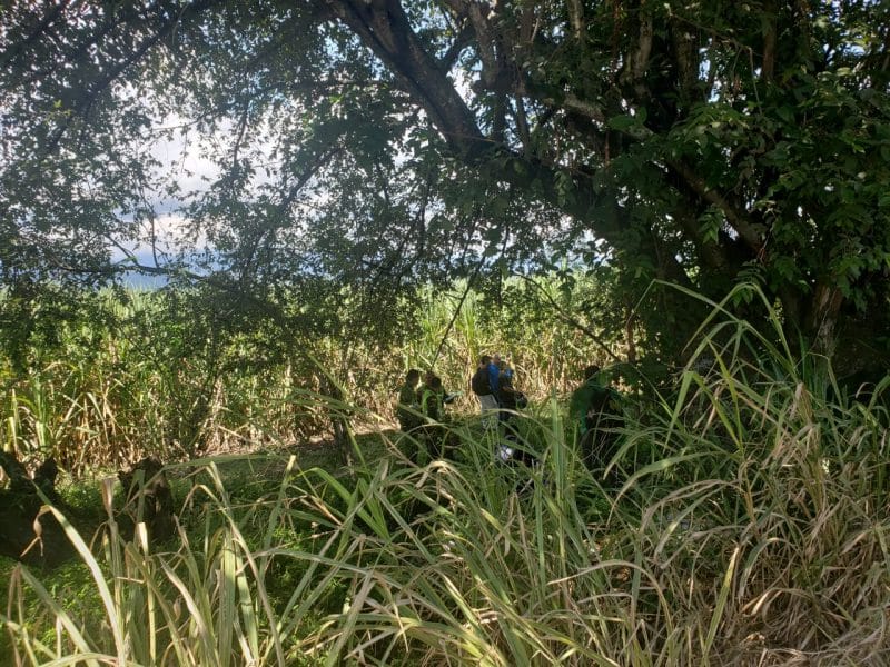 Identifican a joven que fue hallado con un disparo en la cabeza en vía Cali - Jamundí
