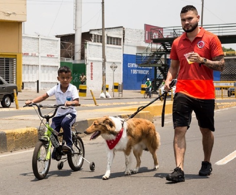 ¡Prepárese! A partir del próximo domingo 2 de febrero regresa la ciclovía a Cali