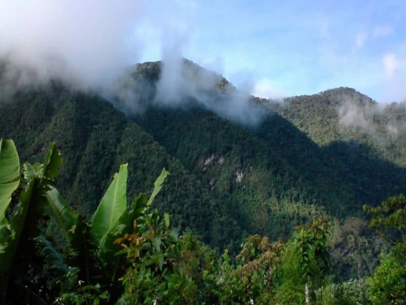 Incrementarán operativos en el Parque Nacional Farallones a causa de la minería ilegal