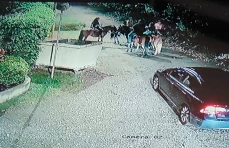 También pasa en estratos altos: denuncian fiestas y cabalgatas clandestinas en el sur de Cali