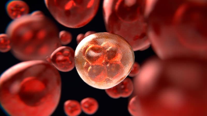 El 33% de todas las muertes son por Enfermedades Cardiovasculares