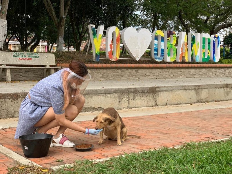 Gran Donatón "Salvando Huellas" para los animales maltratados en el Valle
