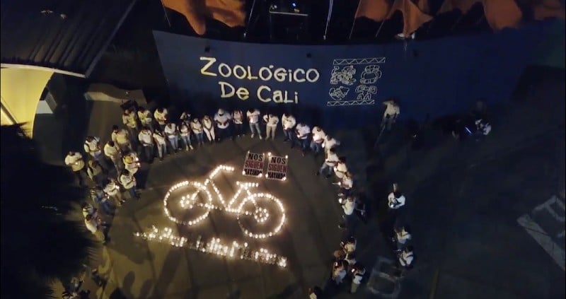 Velatón por jardinero del 'Zoo' de Cali que murió al ser arrollado por conductor ebrio