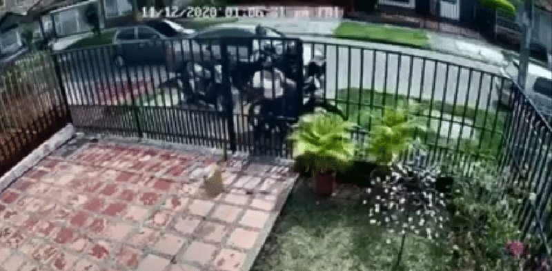 En video: tres mujeres en Cali evitaron ser víctimas de dos ladrones motorizados