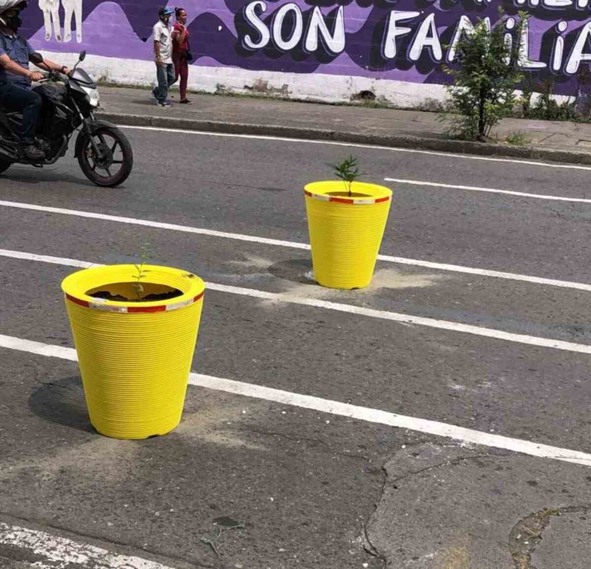 Retirarán materas instaladas en la calle octava