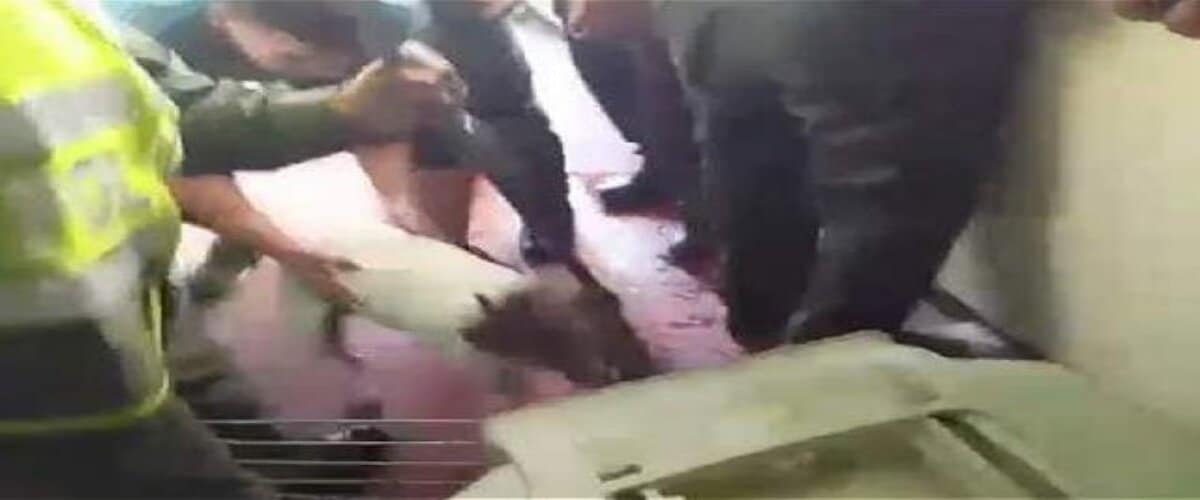 "Quieren que pague el pitbull en la cárcel": presunto agresor del perro que murió tras ser apuñalado