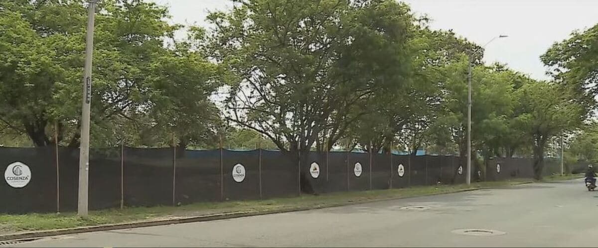 Alcaldía de Cali buscará restituir predios de polémica obra ‘Tarragona’