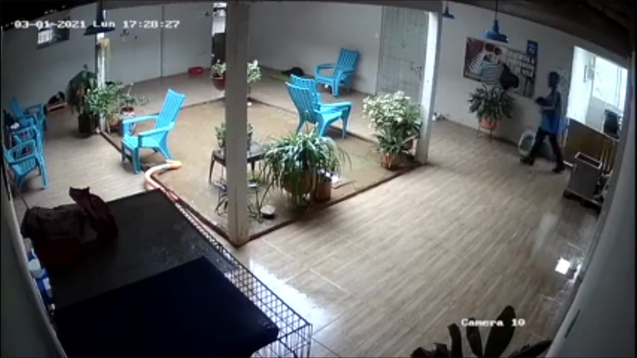 Millonario hurto se presentó en la Fundación Corazón Gatuno de Cali