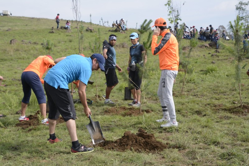 Gobierno asegura su compromiso para cumplir meta de reforestación