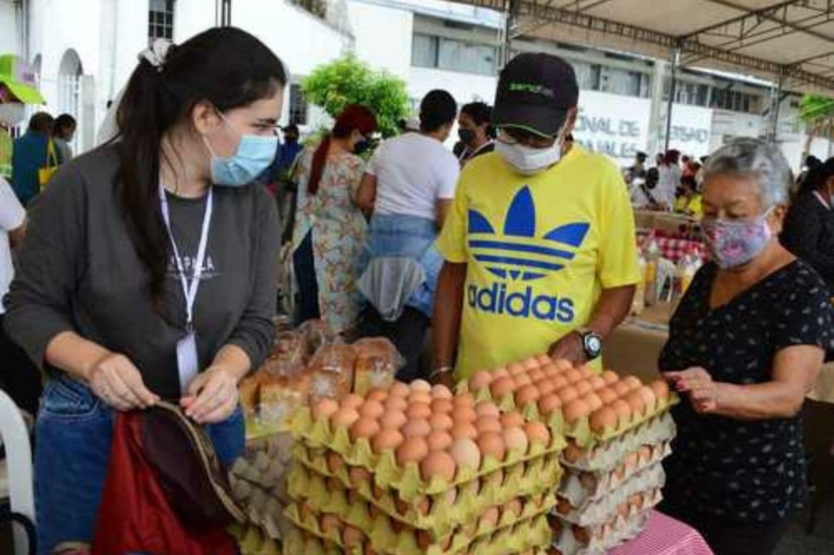 Jóvenes campesinos realizan proyectos de reactivación de sus territorios