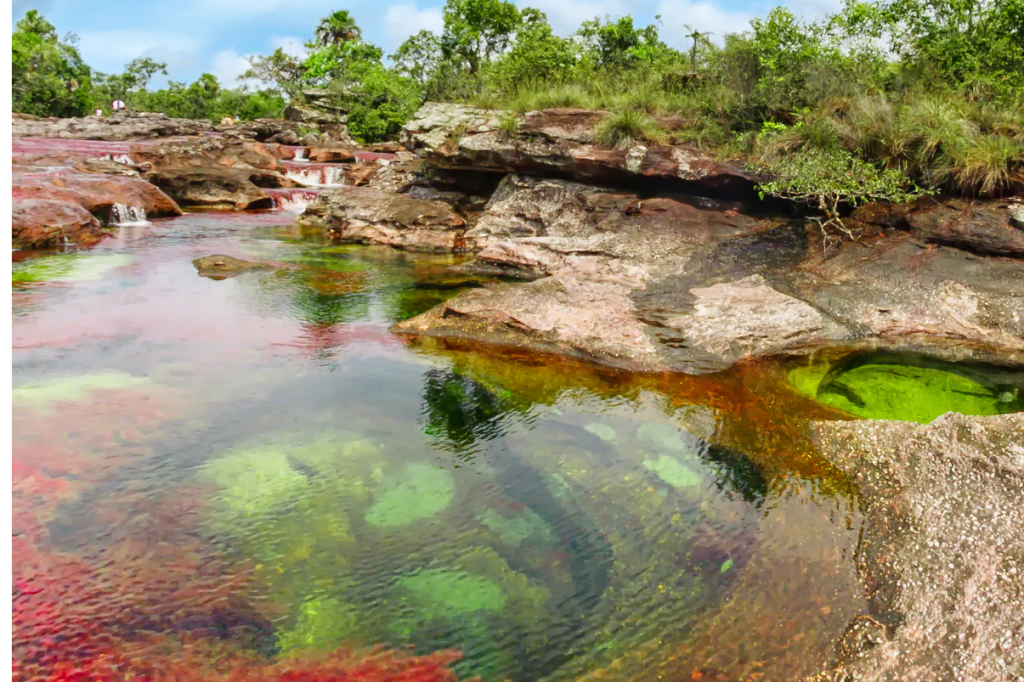 Reapertura de Caño Cristales, emociona a sus visitantes