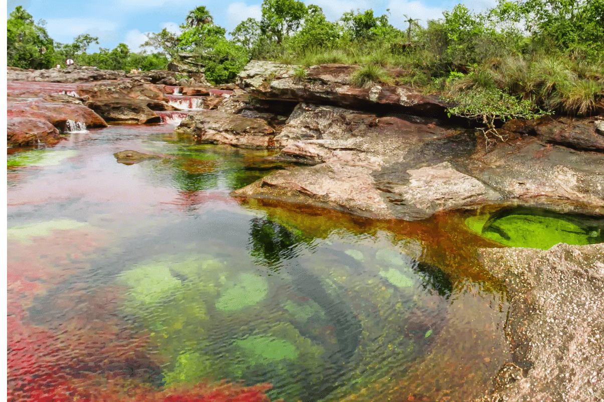 Reapertura de Caño Cristales, emociona a sus visitantes