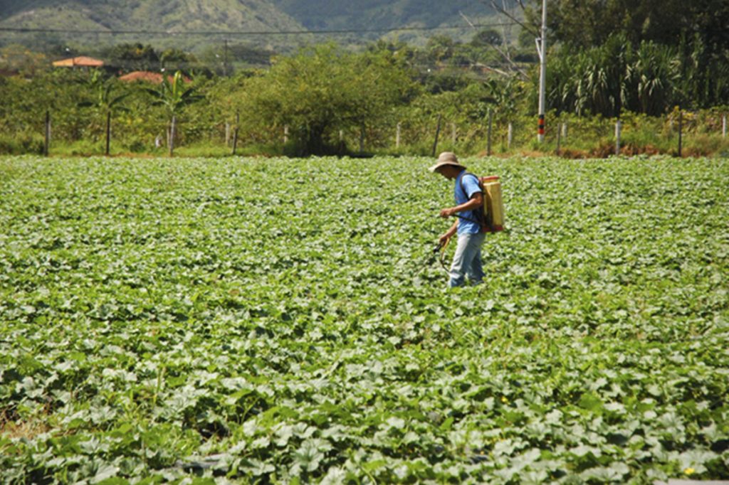 Economía colombiana se contrajo 5,8% en mayo por protestas, revela informe