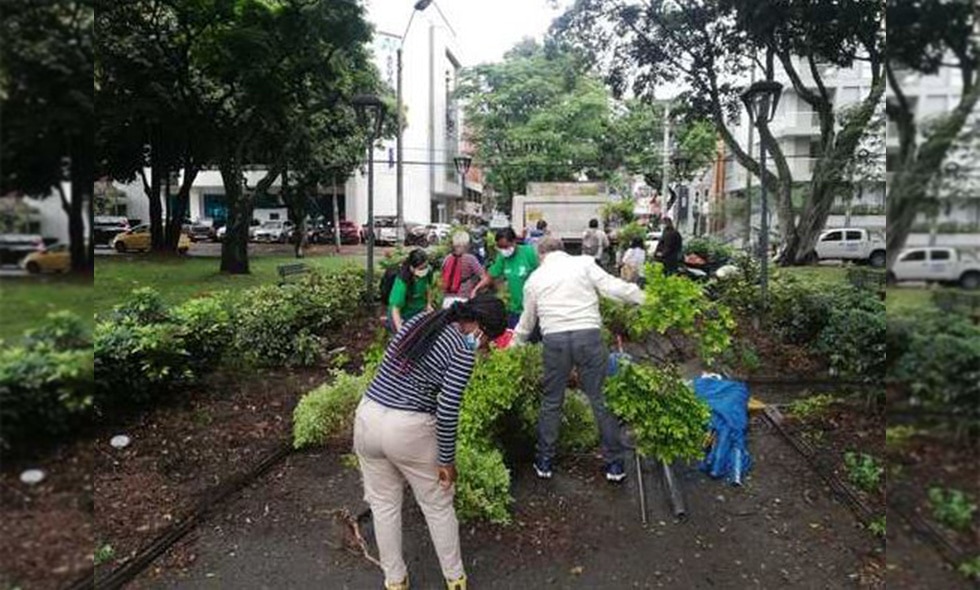 Avanza recuperación ambiental y paisajística del parque Versalles en Cali