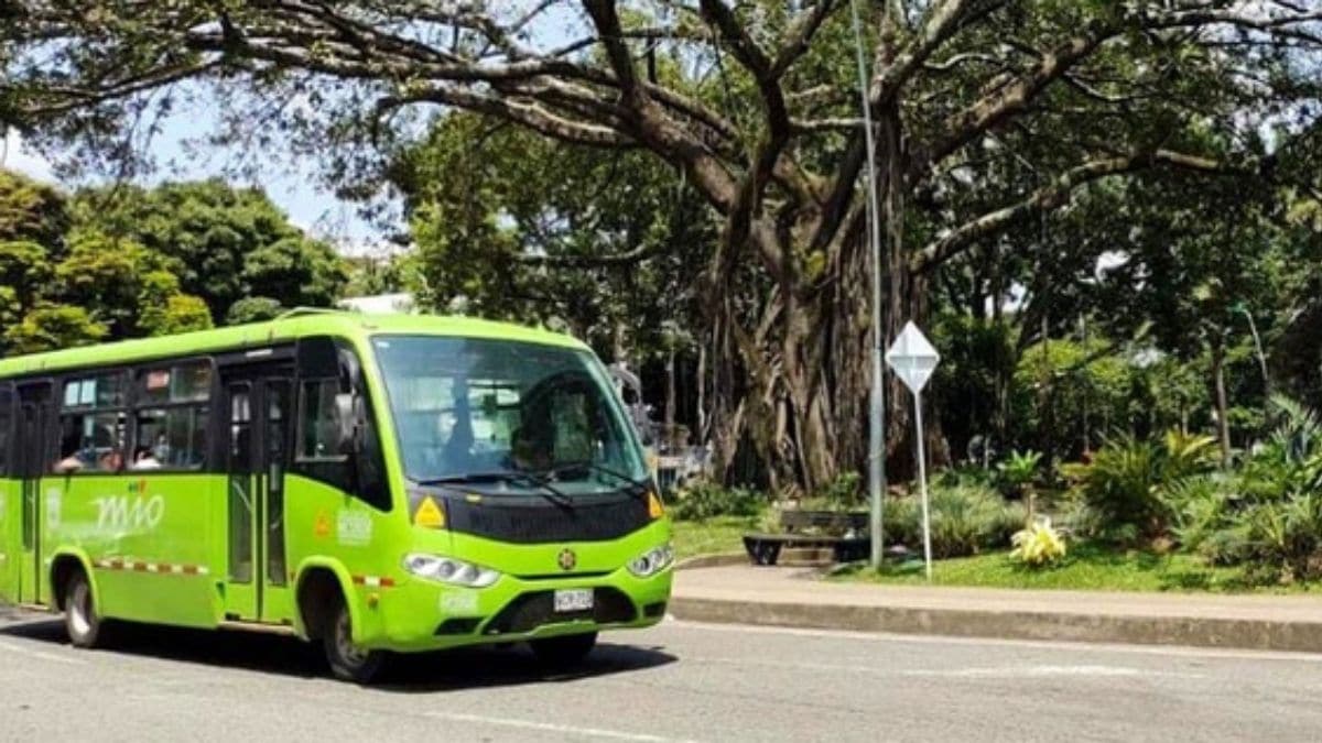 A partir del 19 de octubre se reactivarán tres rutas del MÍO en Meléndez