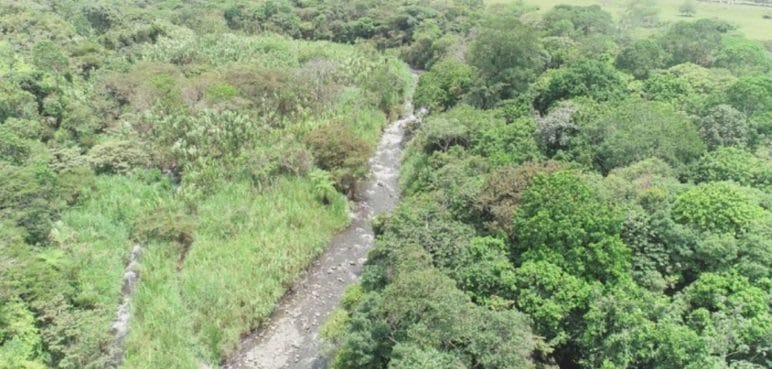 Funcionarios caleños apoyan el Parque Ambiental Corazón de Pance