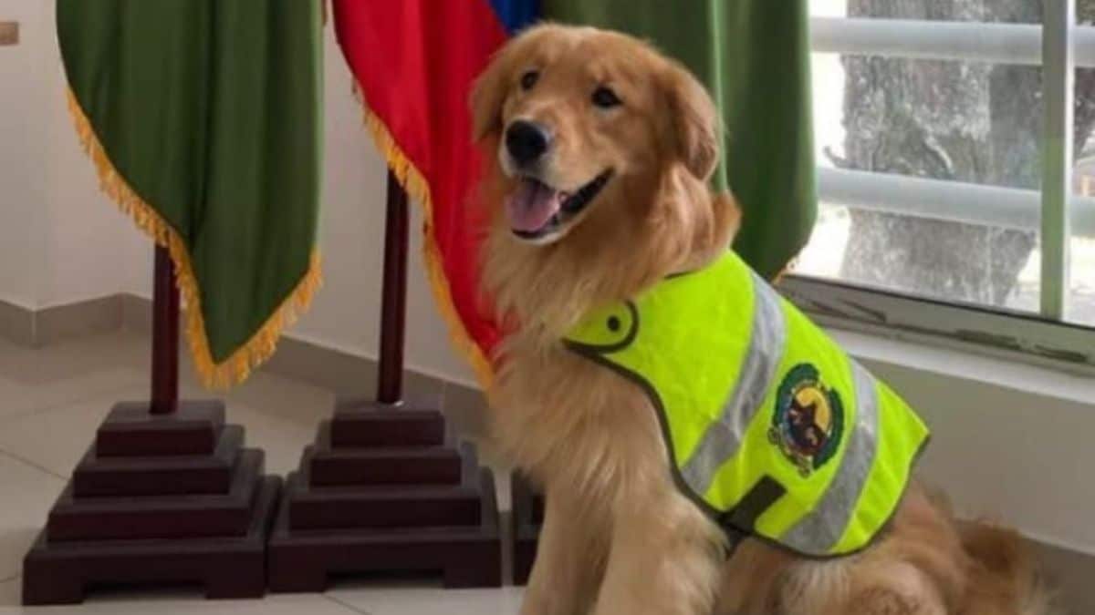 Colombia prevé cuarto pico de la pandemia en noviembre