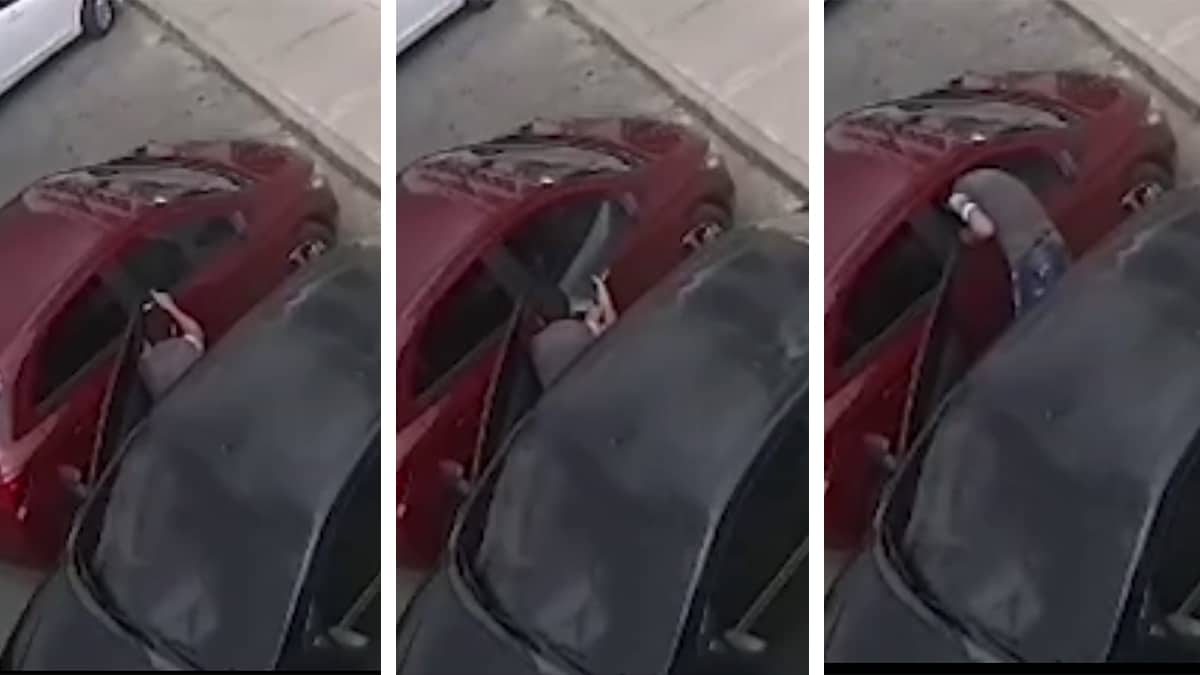 Inician cierre de predios vandalizados y que se han vuelto foco de inseguridad