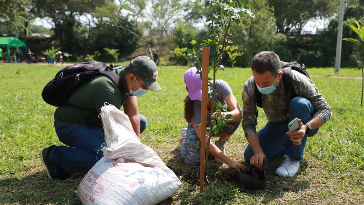 Por intervención ambiental se restringe el paso a la Plaza de Caicedo