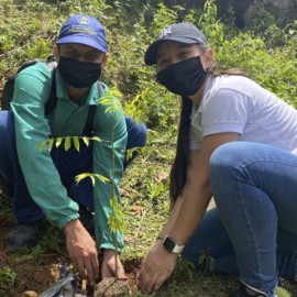 Día del Árbol:  En Cali se sembraron más de 3.500 ejemplares en la cuenca del río Cauca