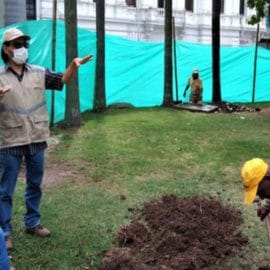 Inician jornadas de intervención en la Plaza de Caicedo
