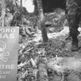 Un soldado muerto y varios heridos dejó activación de campo minado en zona rural de Dagua